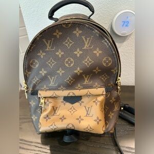 Louis Vuitton backpack